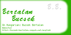 bertalan bucsek business card